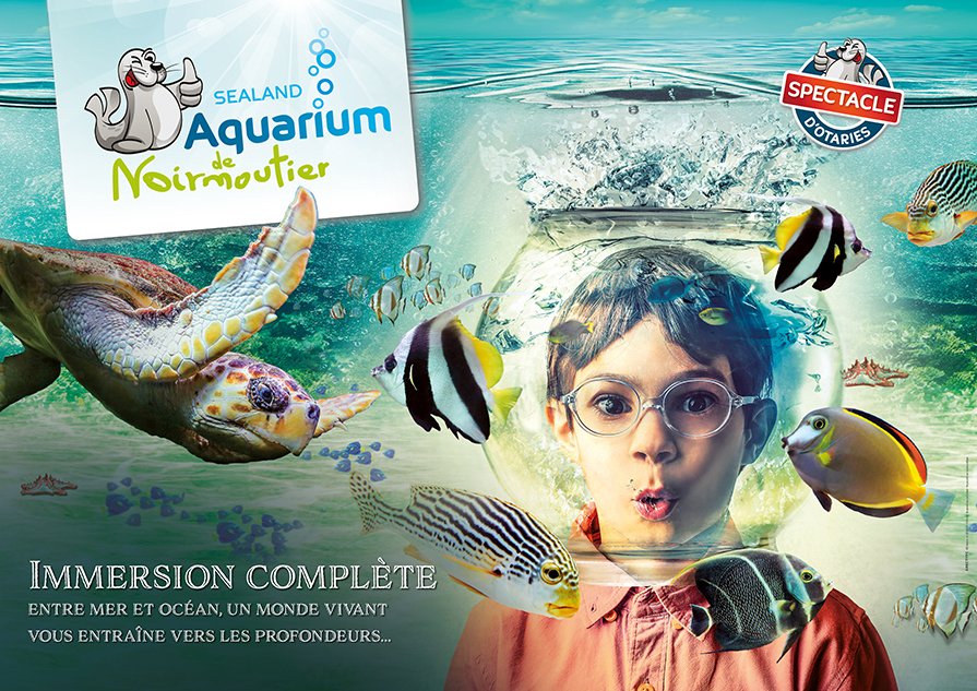 aquarium sealand