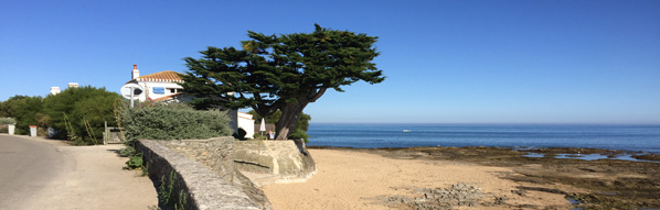 l'art a noirmoutier