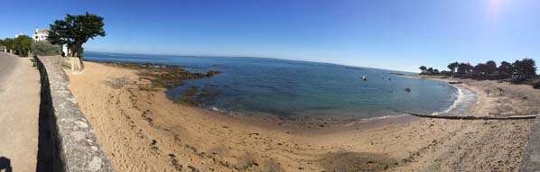 elagage abattage noirmoutier